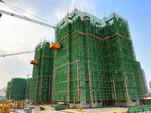 遂宁高新区桃花山棚户区改造项目 三期 年底将竣工交付